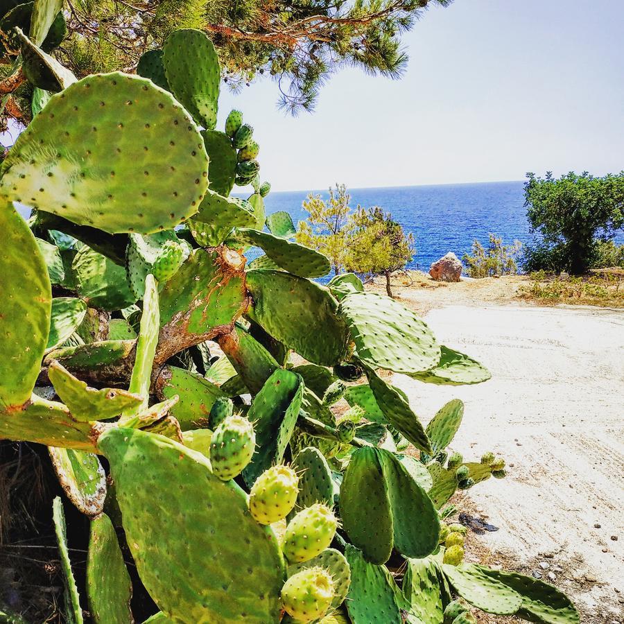 Euphoria - South Crete Villas Ahliá Kültér fotó